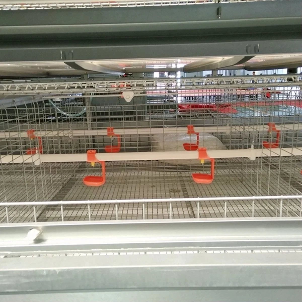 H-Type Baby Layer Chicken Pullet Cage for Philippines Poultry Farm