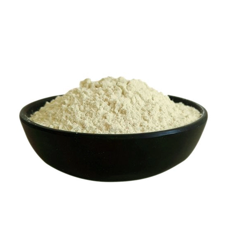 China Food Grade Xanthan Gum 40mesh/80mesh/200mesh