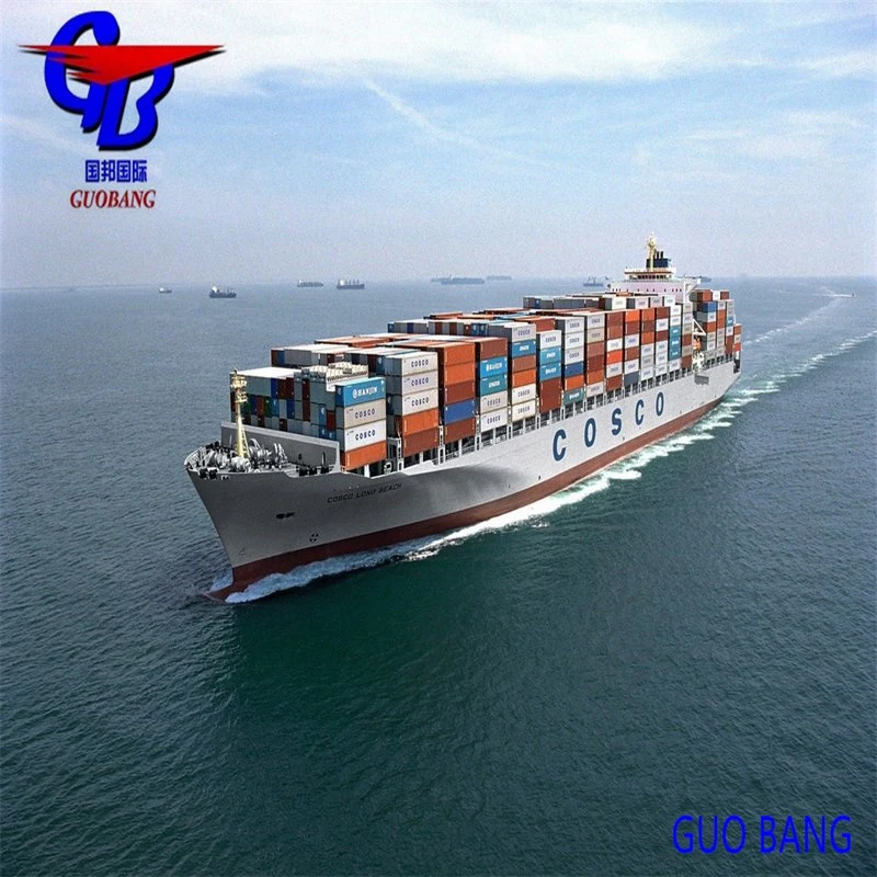 The Best Sea Freight Forwarders in China