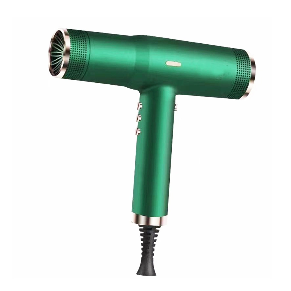 2000W Blow Dryer, Lonic Hair Dryer, High Speed Brushless Motor Blow Dryer