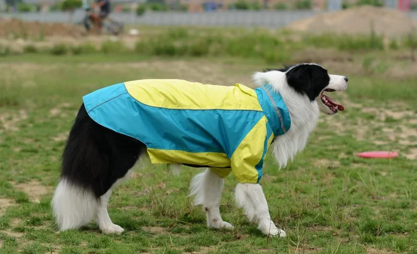 Wholesale/Supplier Superior Quality Pet Products Outdoor Dog Clothing Dog Raincoat