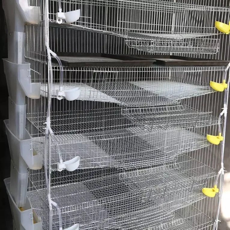 Factory Direct Low Price Layers Quail Cages for Quail Bird Farming H Type for Sale