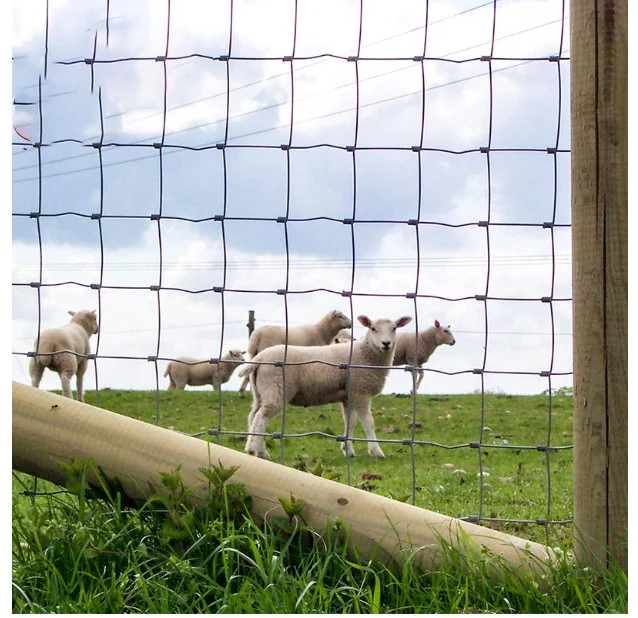 Heiß Getaucht Galvanisiert Hohe Zugspannung Feld Draht Ziege Drahtgeflecht