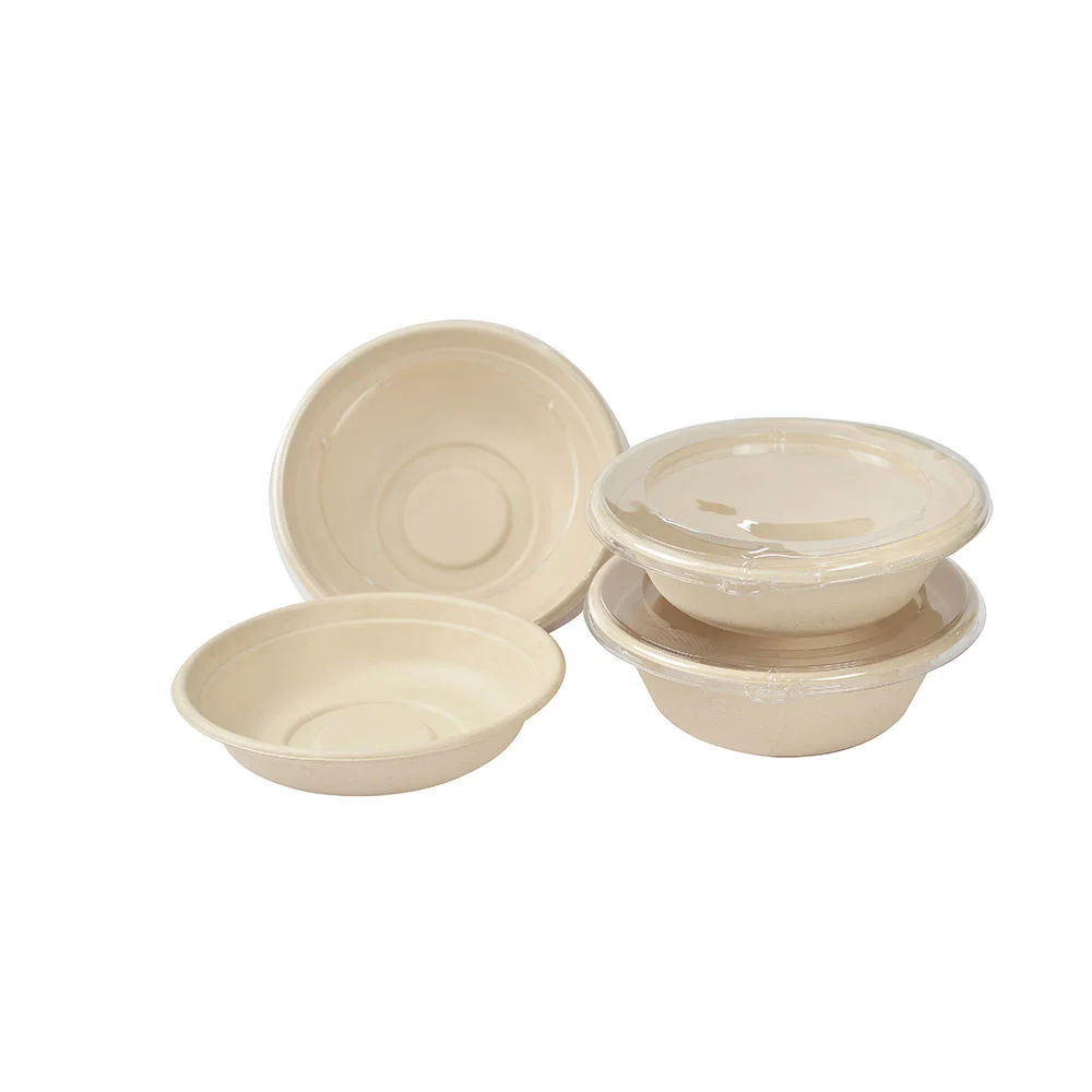 Compostable Food Pulp Tableware Takeaway Paper Salad Bowl Boxes