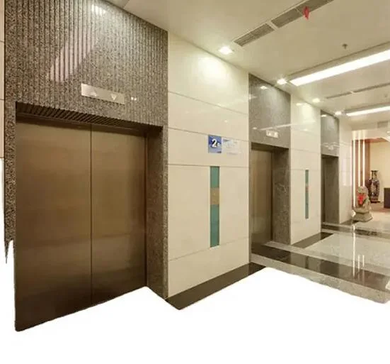 Customized Noiseless Easy Operation Passenger Elevator Lifts with Competitive Price