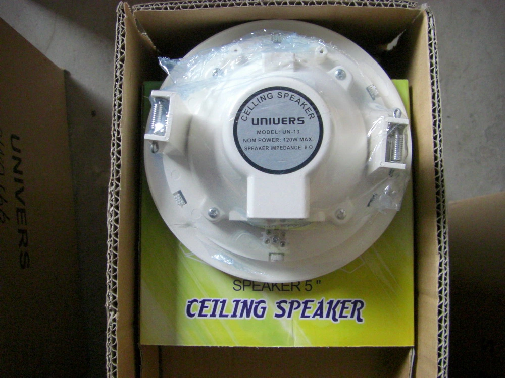 4 Inch 8 Ohm Professional Audio Ceiling Speaker Insert Type with CE