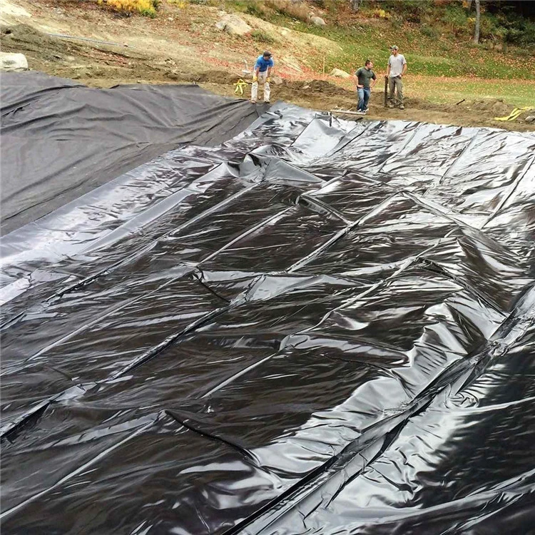 Professional Manufacture Waterproof Geomembrane Dam Pond Liner