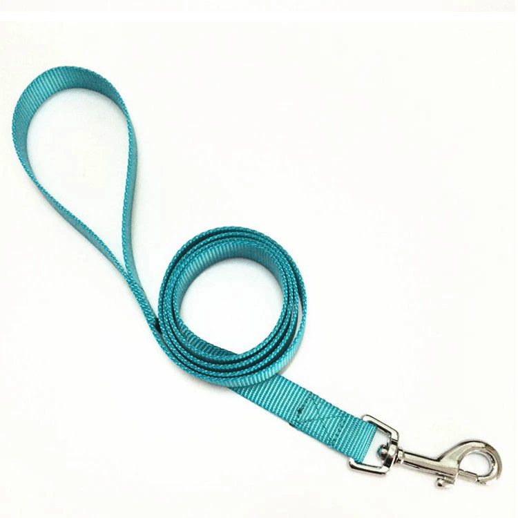 Hot-Sale High-Quality Heat-Transfer Printed 1" Nylon/Polyester Pet Seat Belt, Dog Protection