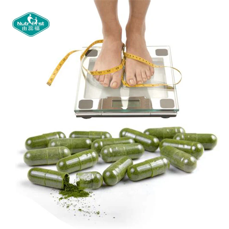 Perda de peso Produtos dieta Slim Herb extrato folha Moringa oleifera Extraia o suplemento orgânico de cápsulas de ervas