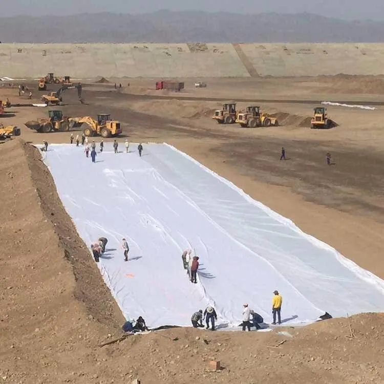 Tissu de stabilisation de talus de géotextile pour la route de la couche de surface Structure Antireflection projet en Inde