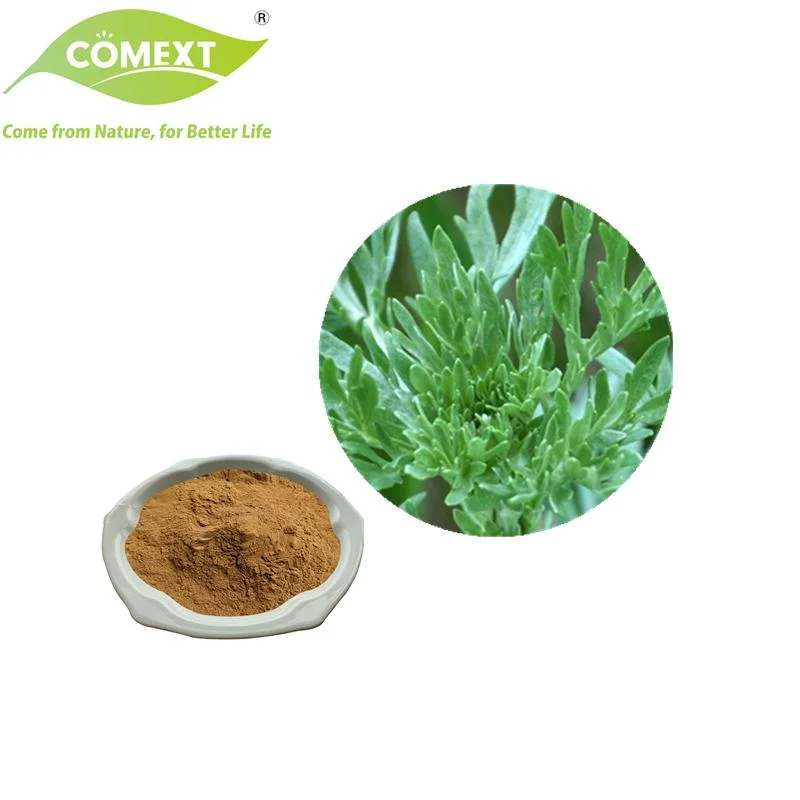 Comext suministro a granel de alimento de alta calidad Extracto de hojas de Wormwood aditivo Polvo