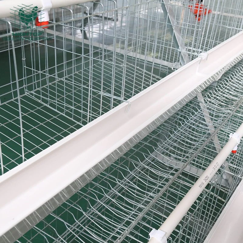 Commercial Hot DIP Galvanized A Type 4 Tier Poultry Hen Egg Layer Chicken Cage