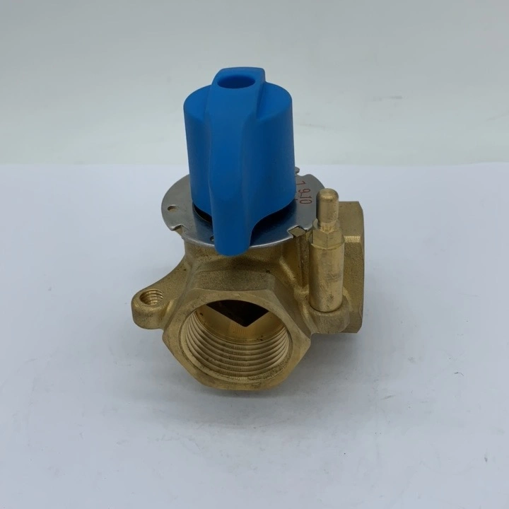 Hpt01 DN25 Rotary Mixing Valve