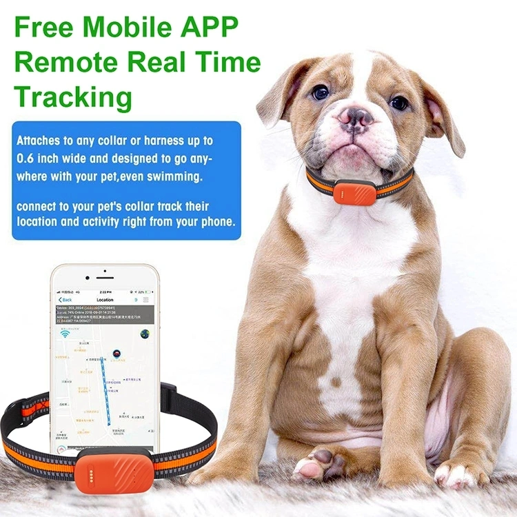 GPS Tracking Device