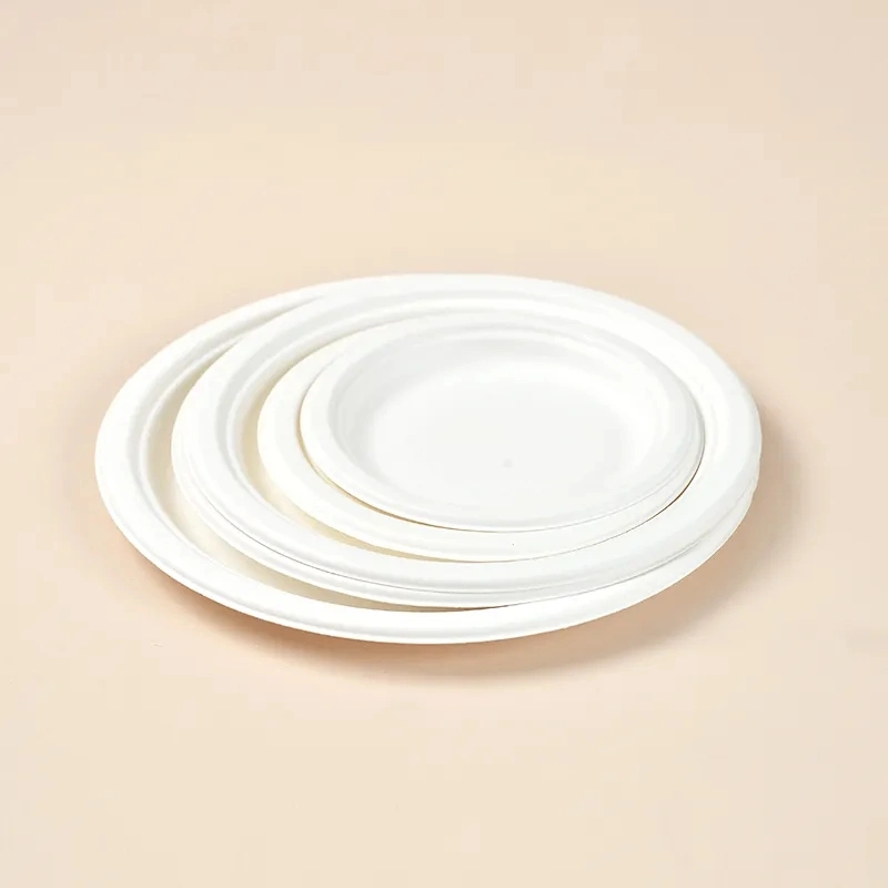 Disposable Biodegradable Plates Sugarcane Bagasse Paper Pulp Mould 6 Inch Plates