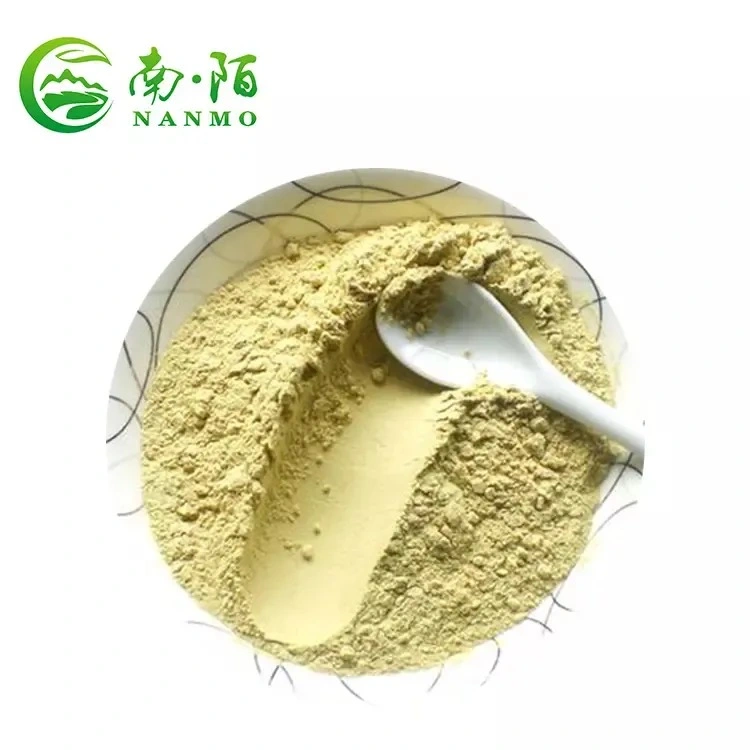 Aloe Vera 200: 1 Powder Aloe Vera Extract Powder Aloe Barbadensis Extract