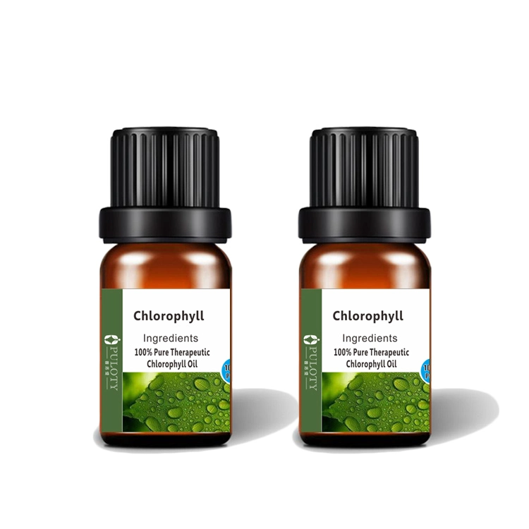 La chlorophylle liquide pour activateurs de la nutrition