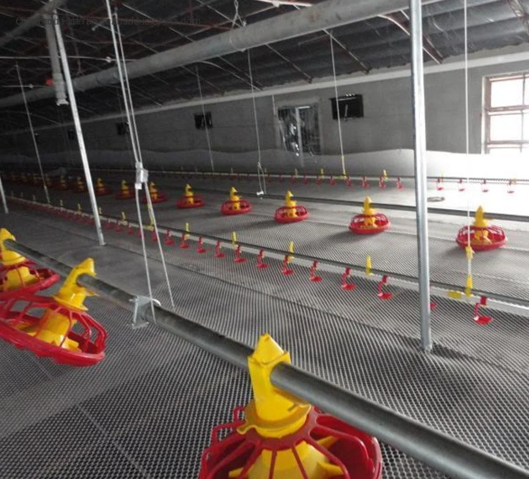 Hot Sell Poutlry Farm Equipment Automatic Chicken Broiler Feeding Pan System