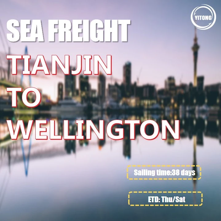 Maritime Freight From Xiamen to Wellington New Zealand