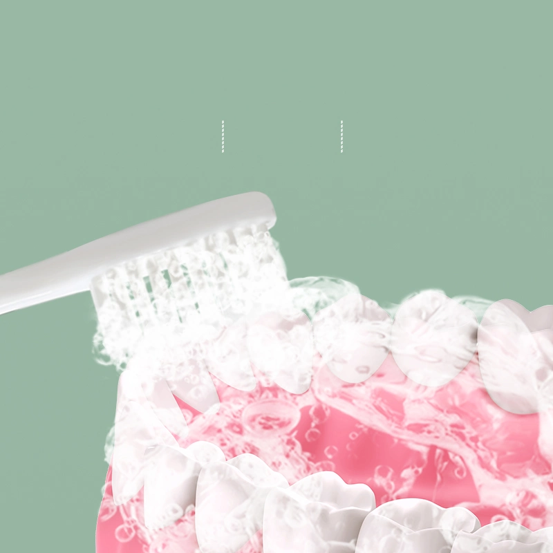 Best Selling Slender Handle Personal Care Adult Super Soft Bristle Toothbrush