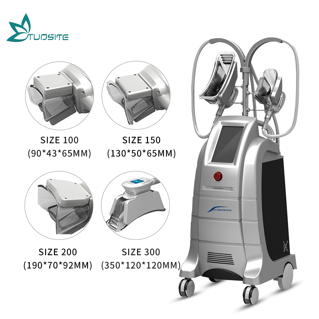 Etg50-4s RF Body Vacuum Skin Care Belly Fat Cellulite Removal Ultrasound Home Use Therapy Cold Lipolysis Device