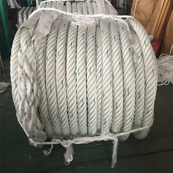 New Coast corde pêche cordes PP polypropylène tressé pour la marine Amaring Sailling meilleur fournisseur en Chine