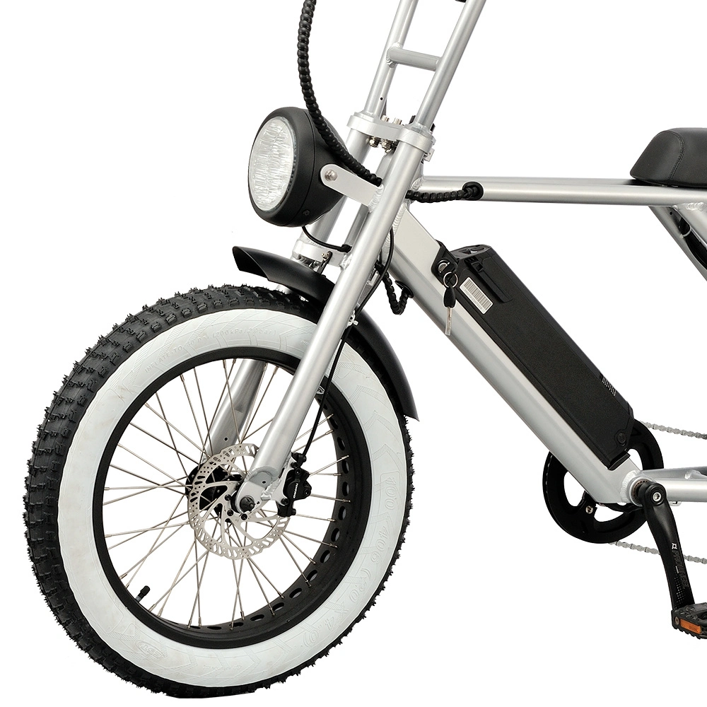 2022 Neues Design 20 Zoll Günstige eBike 500W Fat Reifen Elektrisches Mountainbike mit CE