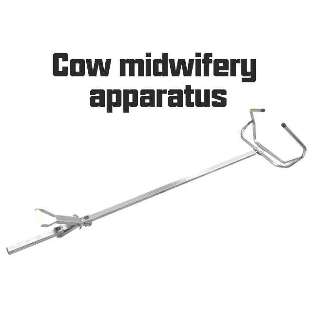 Dystocia Forceps acier inoxydable vache Midwifery Forceps instrument vétérinaire Calf Extracteur