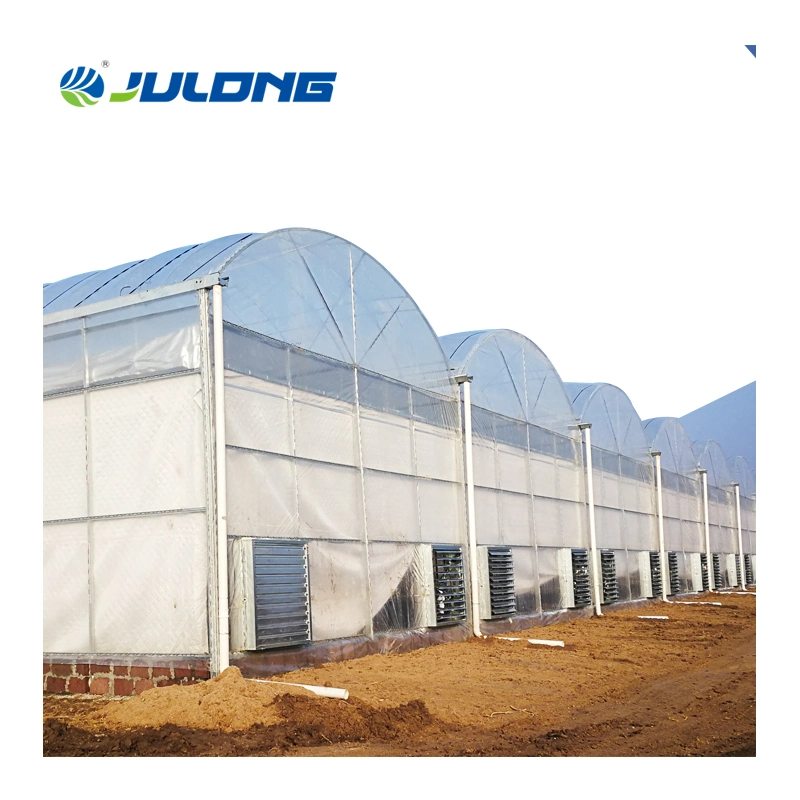 China Hydroponics Strawberry Growing System Suppliers Agricultural Greenhouse Metal Frame for Sale