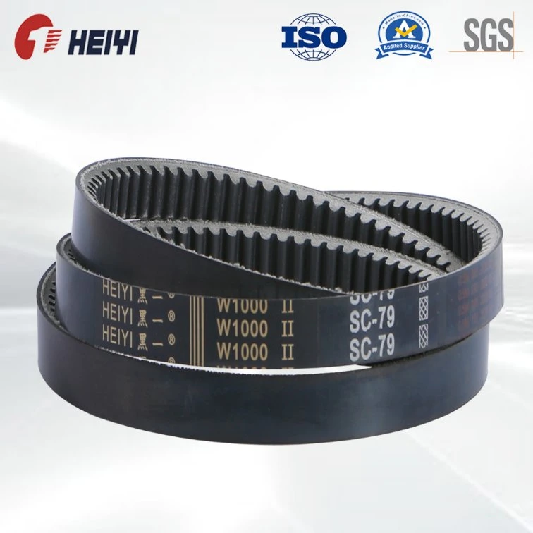 Heavy Duty Power Transmission Raw Edge V Belts for Ceramic Chemical Factory