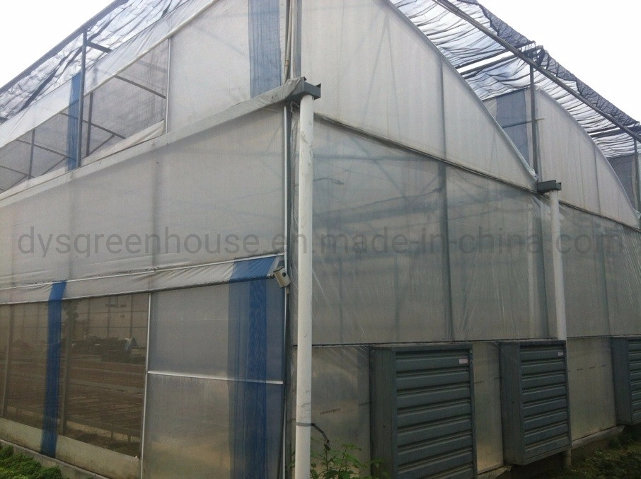 Hot-Galvanized Steel Frame Plastic Film Greenhouse for Agriculture Products