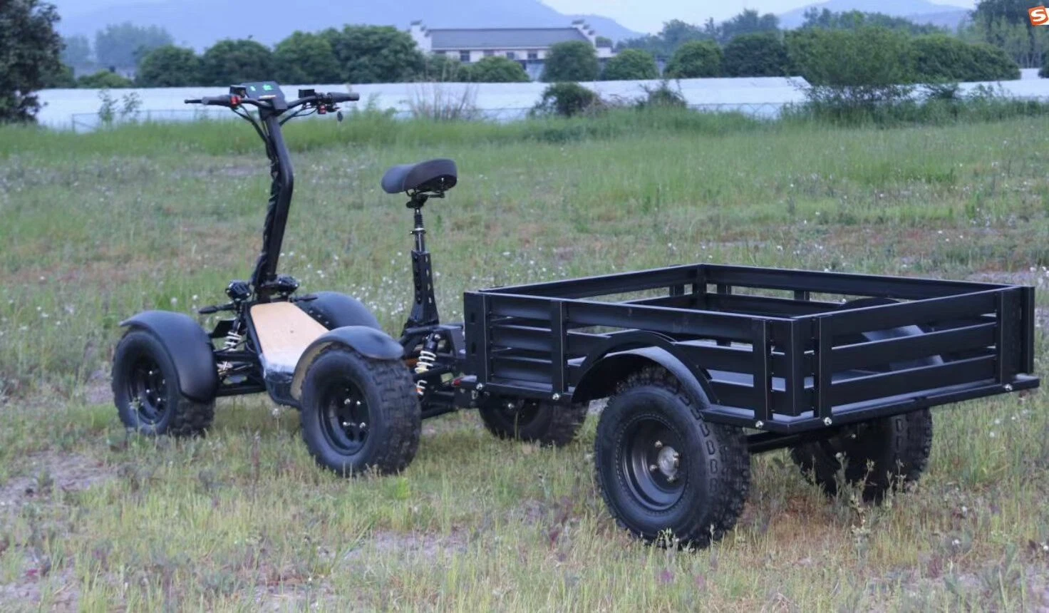 Fabrik Direktverkauf stabile Qualität Quad Erwachsene Elektro ATV 6000W