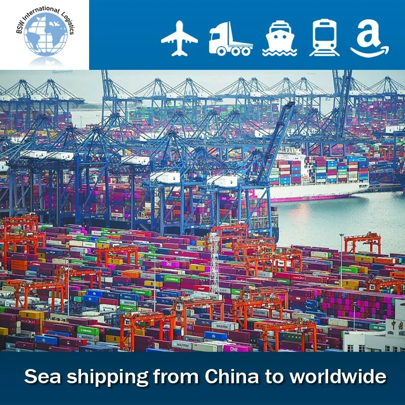 International Sea/Air Shipping From China to Palestine Freight Door to Door DDP/DDU
