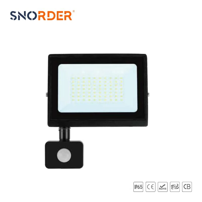 Made in China 10W Black Modern Floodlight 4CCT Optional IP65 Waterproof Floodlight 900lm 120&deg; Light Angle