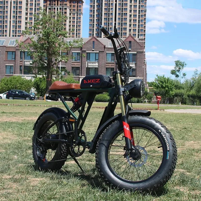 China New Smart Powerful Akez 48V Lithium Folding Mountain Ebike Fat Tire Electric Dirt Bike Bicycle