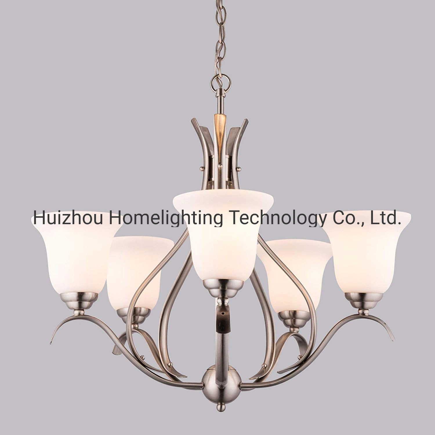 Jlc-6020 Brushed Nickel 5-Light Chandelier with Etched and Seeded Glass Shades