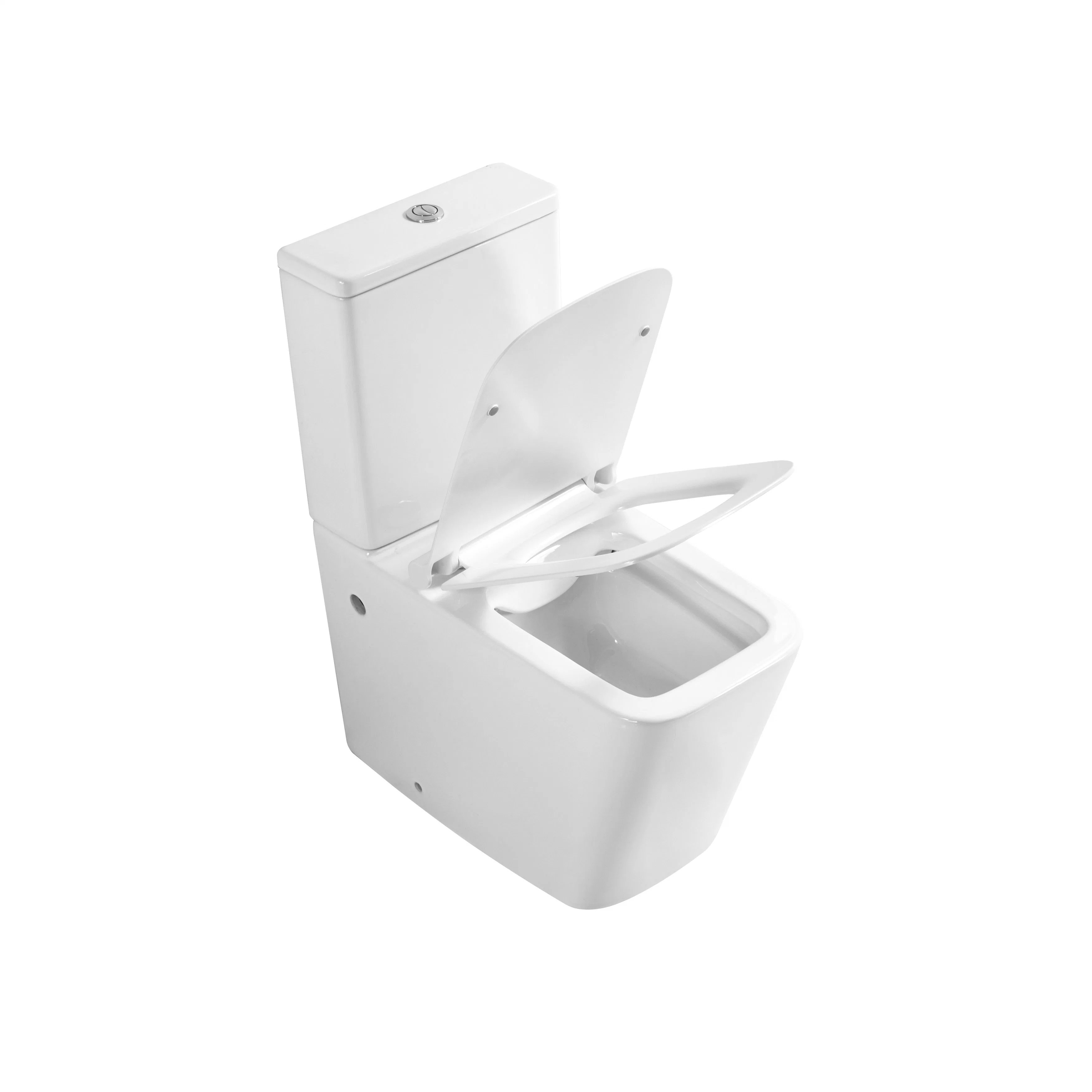 Bathroom Ceramic Washdown One Piece Wc P-Trap/S-Trap Color Toilet Toilet Bowl Automatic Smart Toilet with Bidet