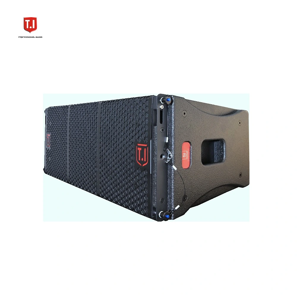 Dual 10 Inch Line Array Outdoor Sound System