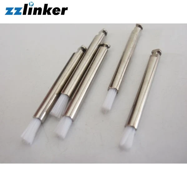 Lk-P41 Nylon Dental Teeth Polishing Brush Flat, Sharp and Bowl Type