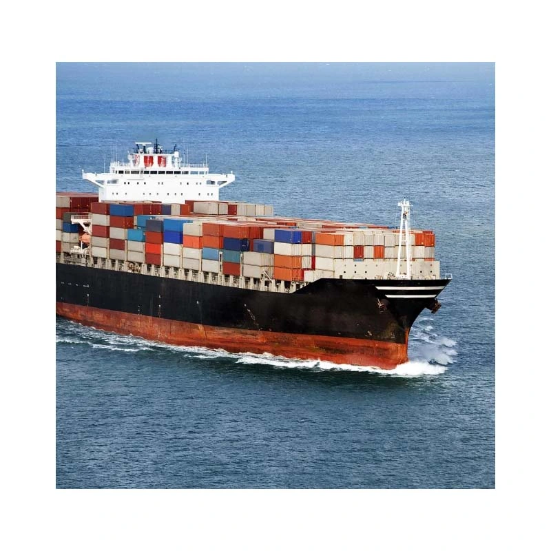 Sea Freight Fowarder, Shipping Agent From China to UAE