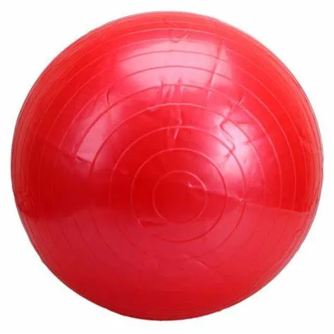 Private Label Fitness Yoga Gym Ball for Exercise