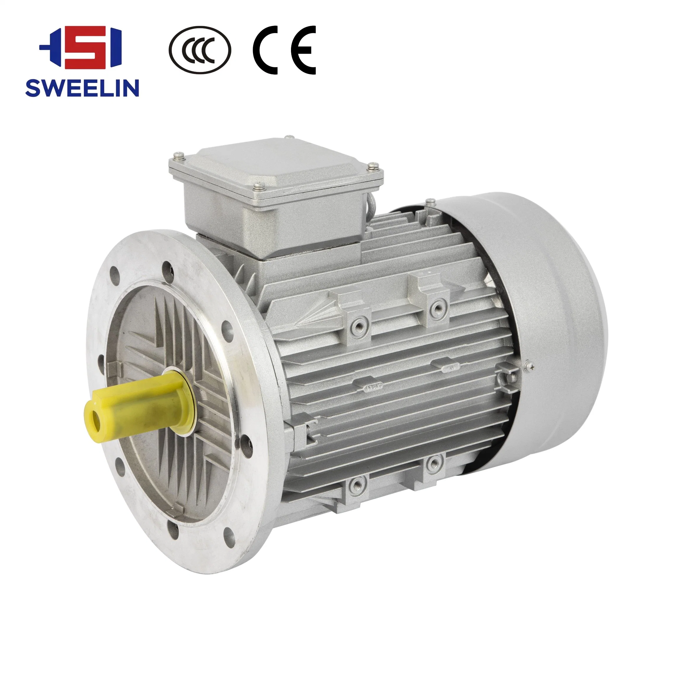 CE-zertifizierter Dreiphasenmotor IE2 IE3 380V Industrie hoher Wirkungsgrad Elektrischer AC Asynchroner Induktions-Elektromotor mit 1-10HP