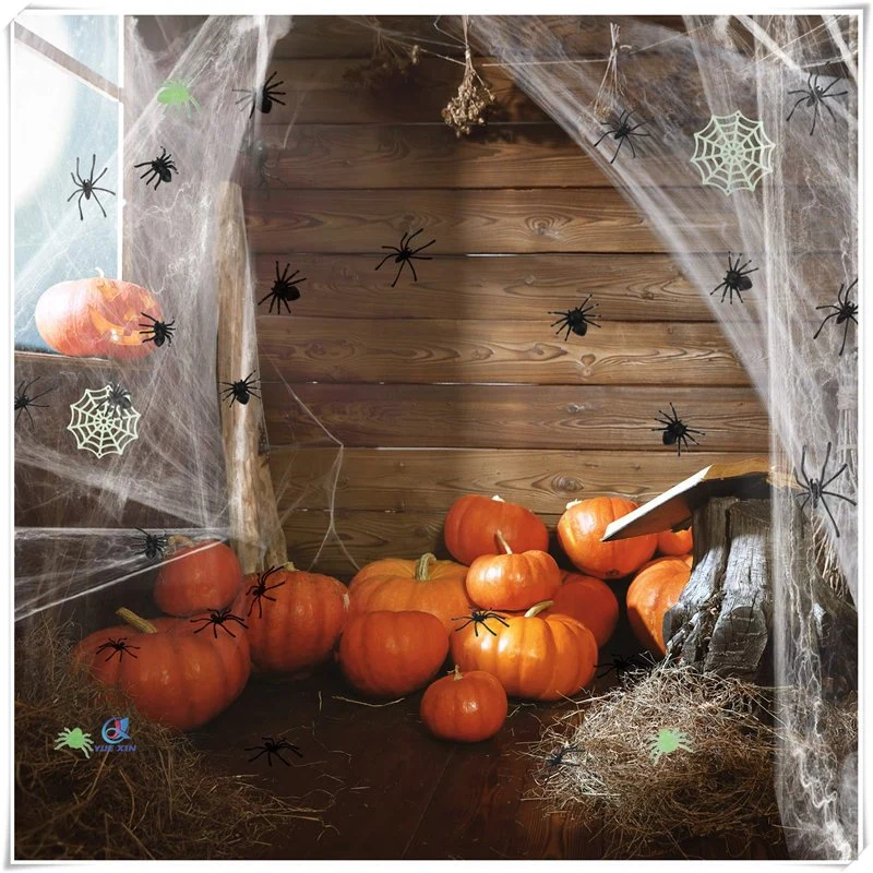 Étirer Spider Web pour l'Halloween décoration intérieur/extérieur