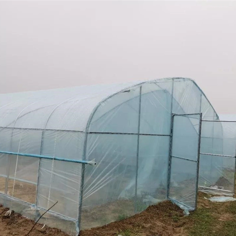 High Quality Commercial PE Film Large-Span Hot Galvanizing Hoop Greenhouse for Fruits/Mushroom