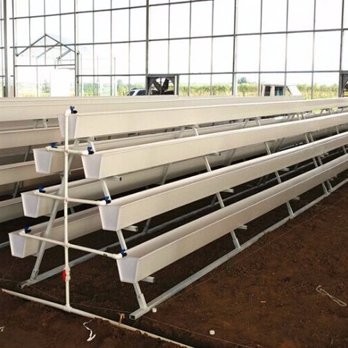 Hydroponic PVC Drain Gutter Aquaponic Grow System for Strawberry Vegetables