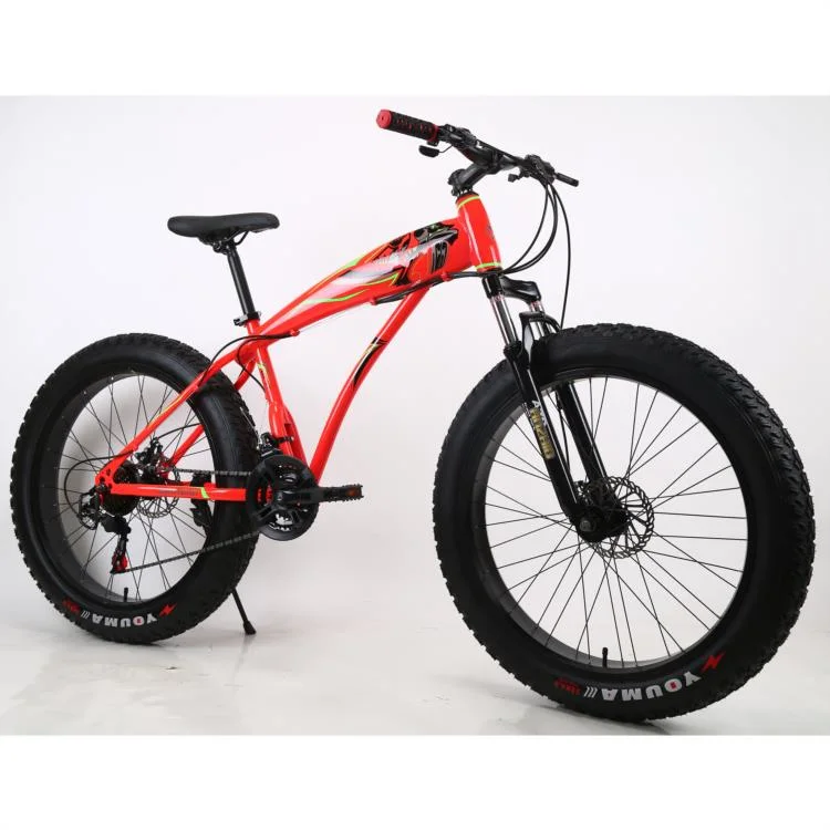 2022 Hot Selling Chinese OEM ODM Manufacturer Sports Mountain Fat Tire Mountain Bike