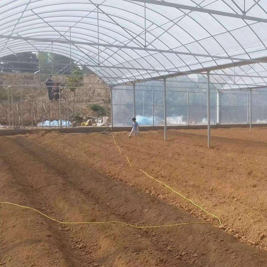 Agricultural Plants Tunnel Hydroponic Growing Systems Tomato Greenhouse