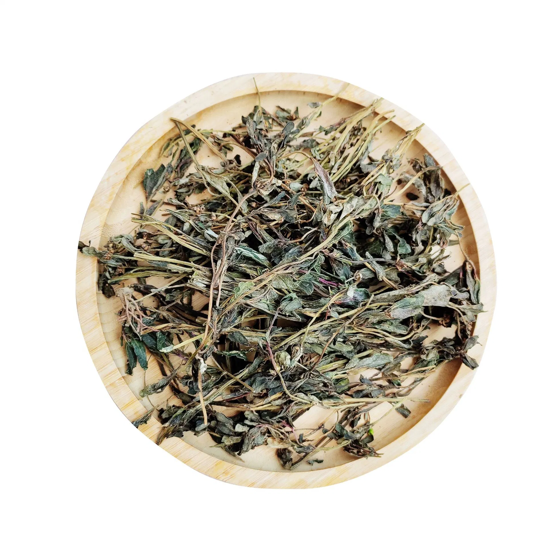 Ma Chi Xian Herbal Tea Portulaca Oleracea Hot Sale Dry Herb Parslane