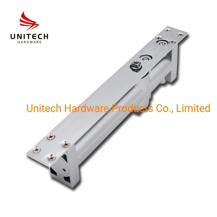 Aluminum Adjustable Conceal Hydraulic Fire Door Hidden Door Closer Floor Hinge