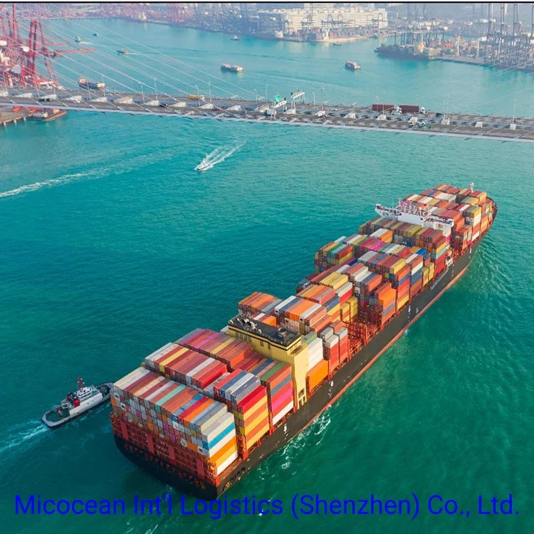 Fba Warehouse DDP Door to Door Sea Shipping Service From China to Iraq